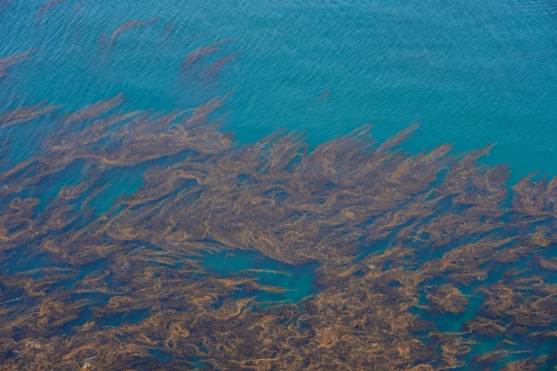 Channel Islands, California