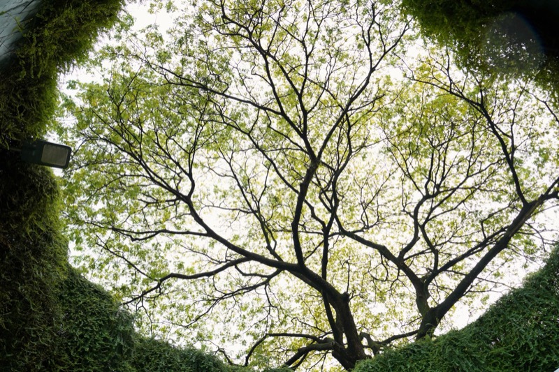 Fort Canning Park, Singapore