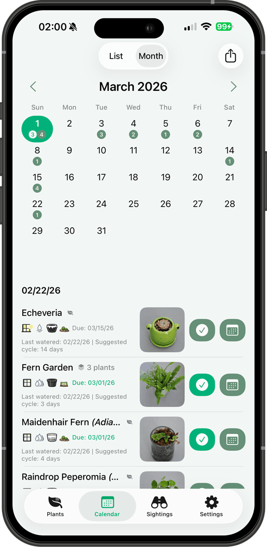Watering calendar